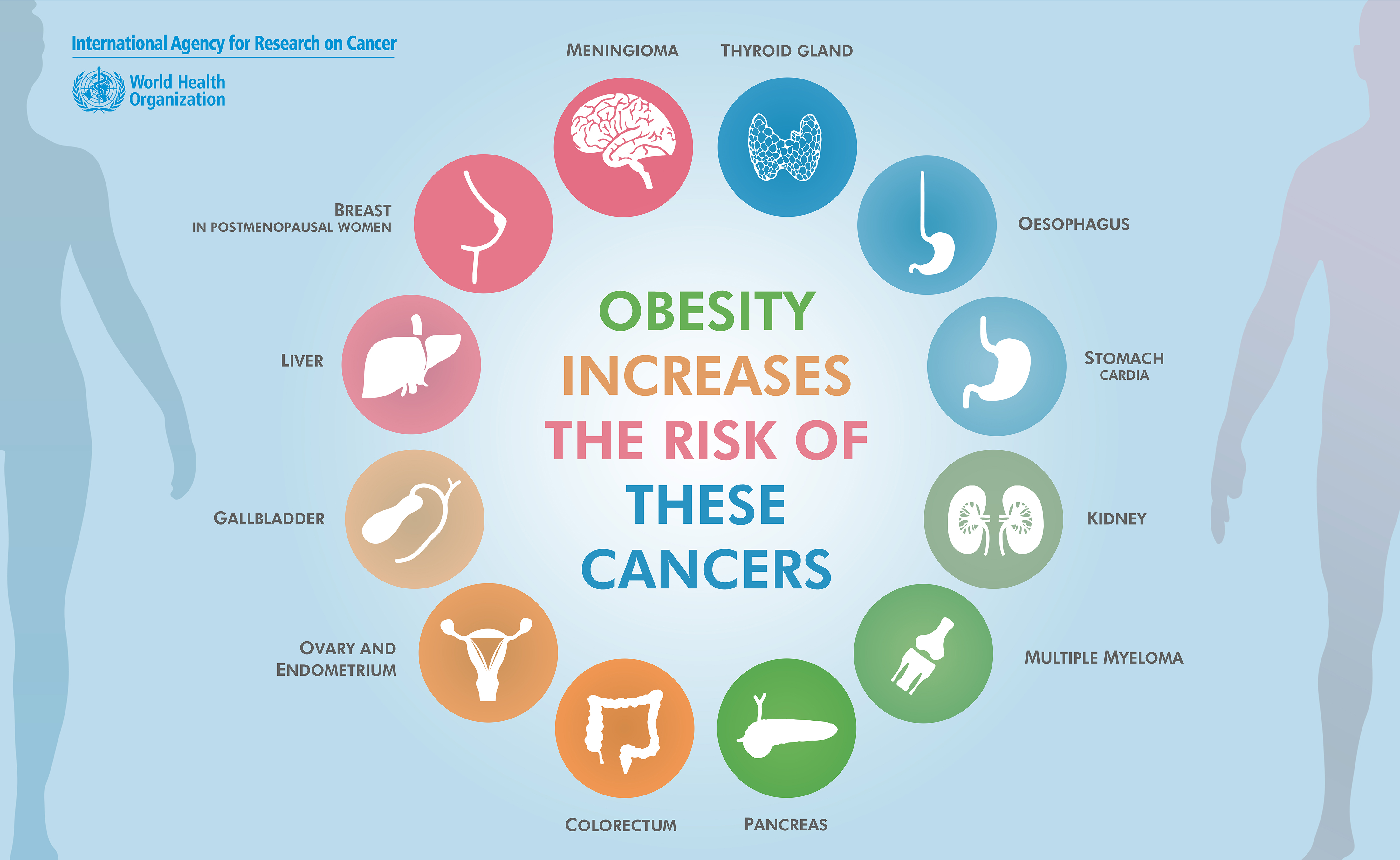 Cancer Sites Linked To Overweight And Obesity IARC